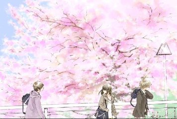 每日大赛入口mrds官网在线